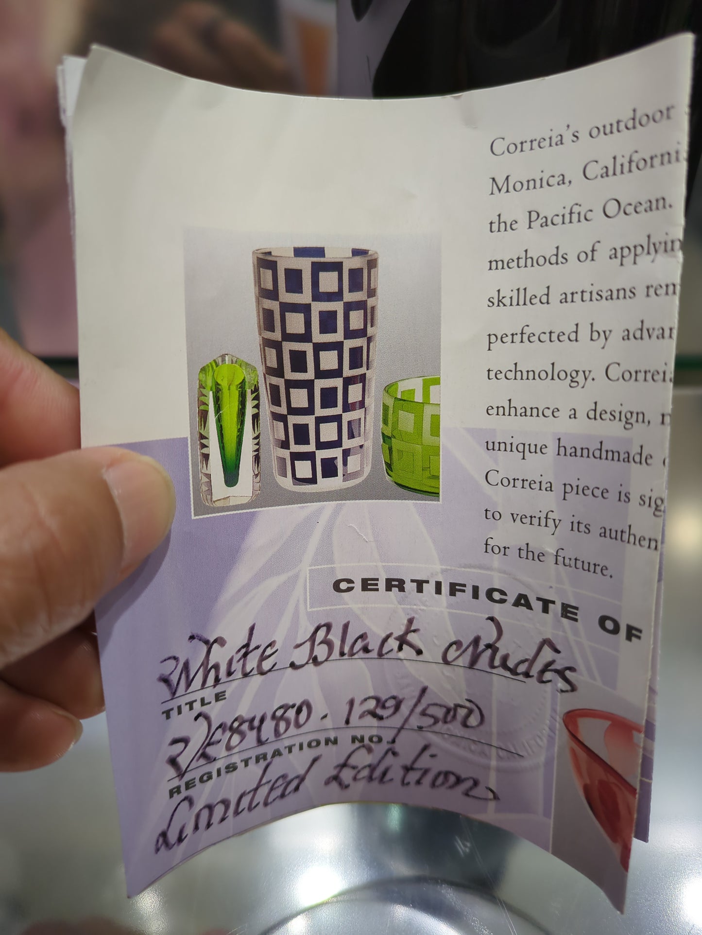 Hand holding a certificate of authenticity for a product with a patterned design.