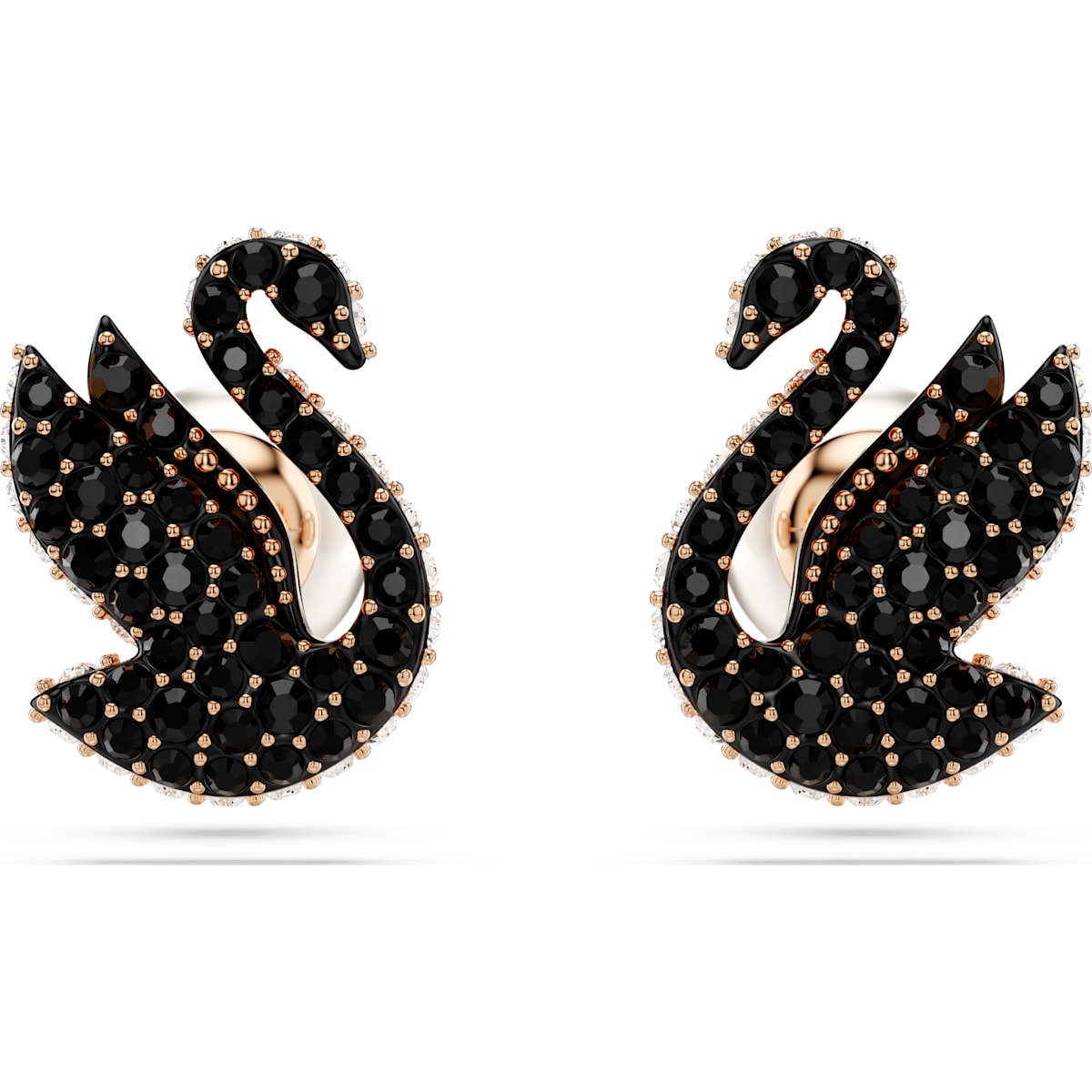 Swarovski Swan stud earrings, Swan, Black, Rose gold-tone plated 5684608