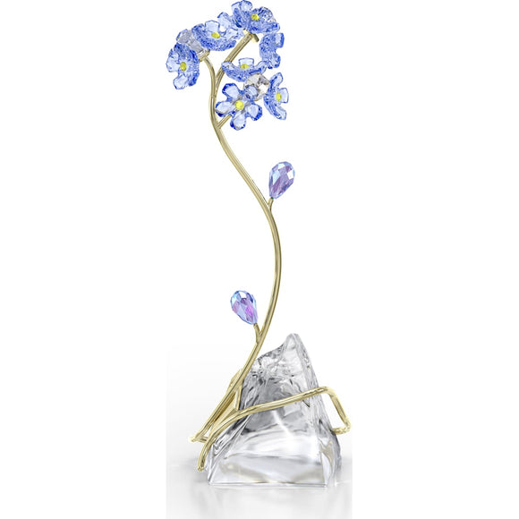Florere Forget-me-not 5666971
