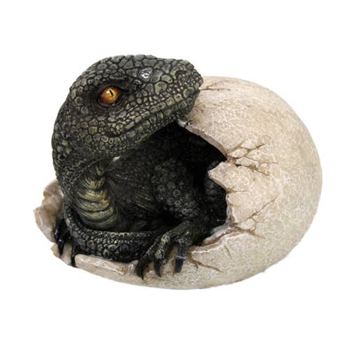 Dinosaur Egg Hatchling on white background