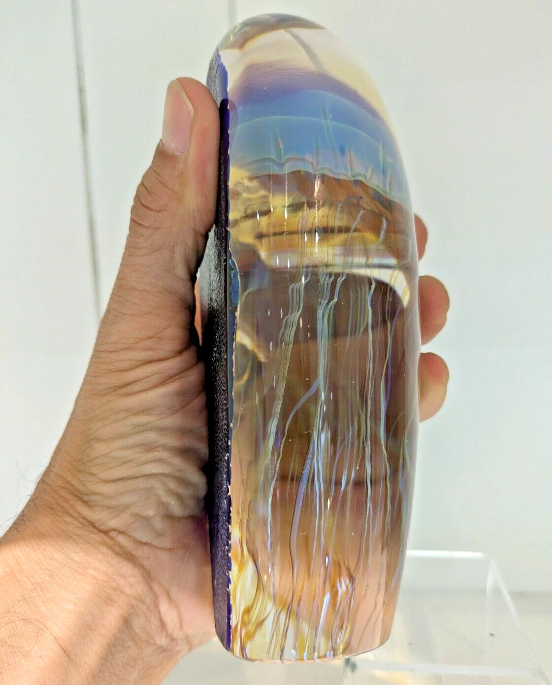 Hand holding a satava jelly fish blue side view