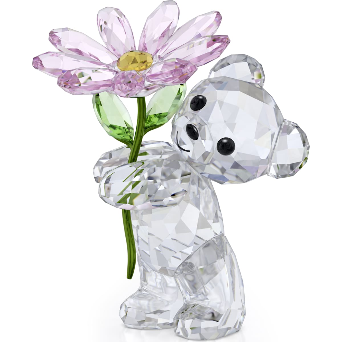 A white Kris Bear with A Daisy purple flower.