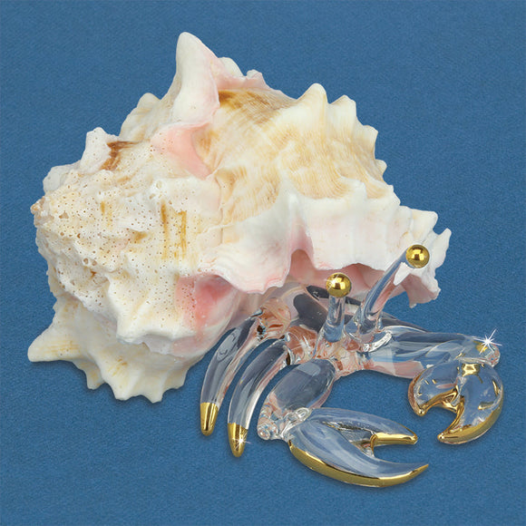 S3 250-M: Hermit Crab, Medium