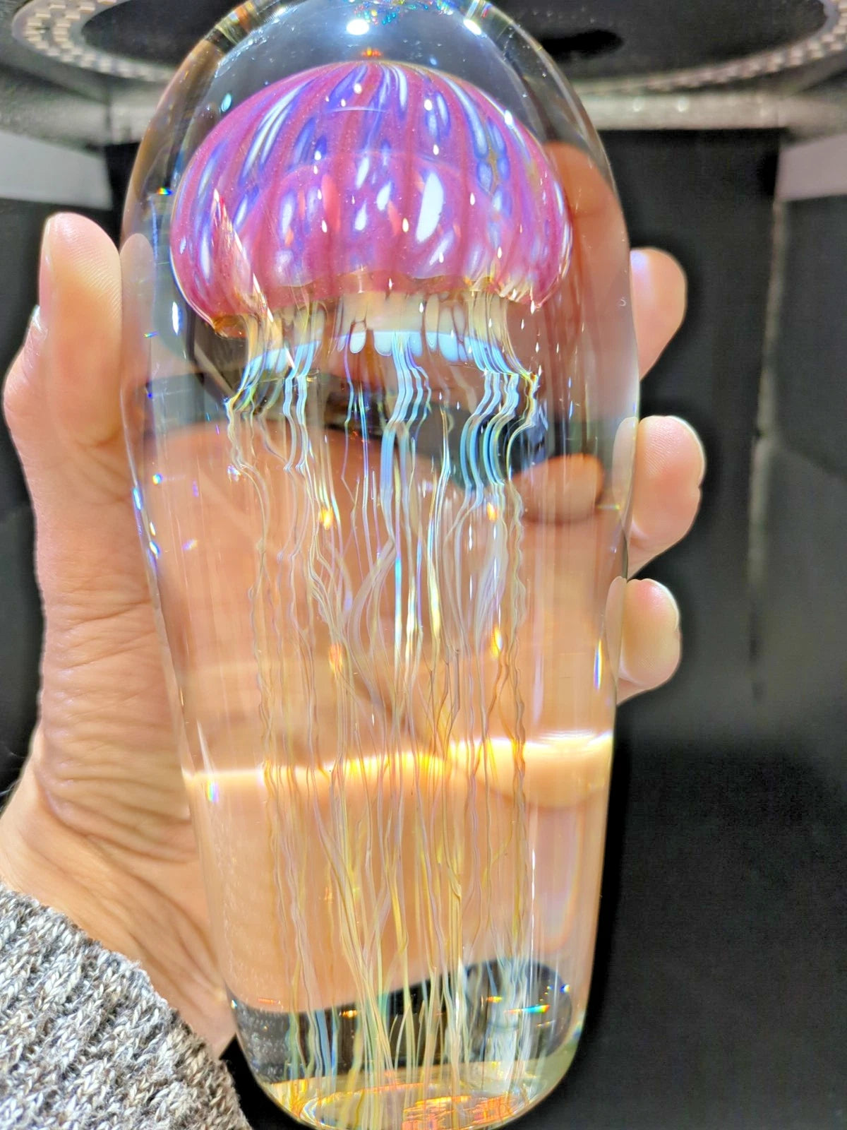 Transparent Satava Jyellyfish with a colorful tentacles inside, held by a hand.