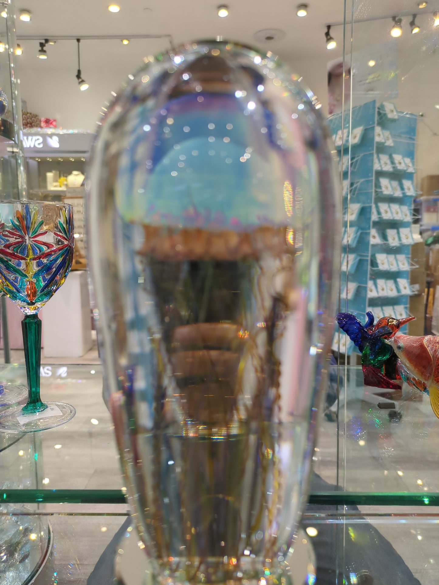 7 inch tall the Moon Jellyfish has a beautiful ethereal dome.