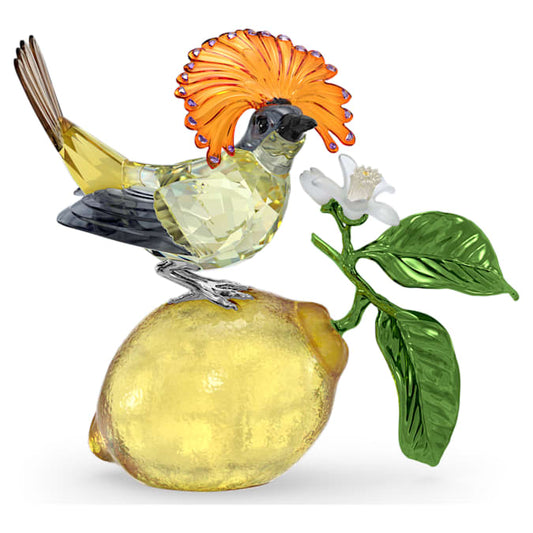 A crystal figurine of a bird with a multicolored feathered crown perched on a lemon with a green leaf and white flower.
