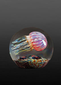 GOLD RUBY SIDE SWIMMER SATAVA JELLYFISH 4.5"