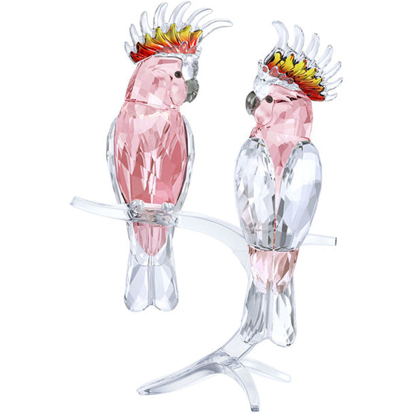 Pink Cockatoos - Signed 5384012