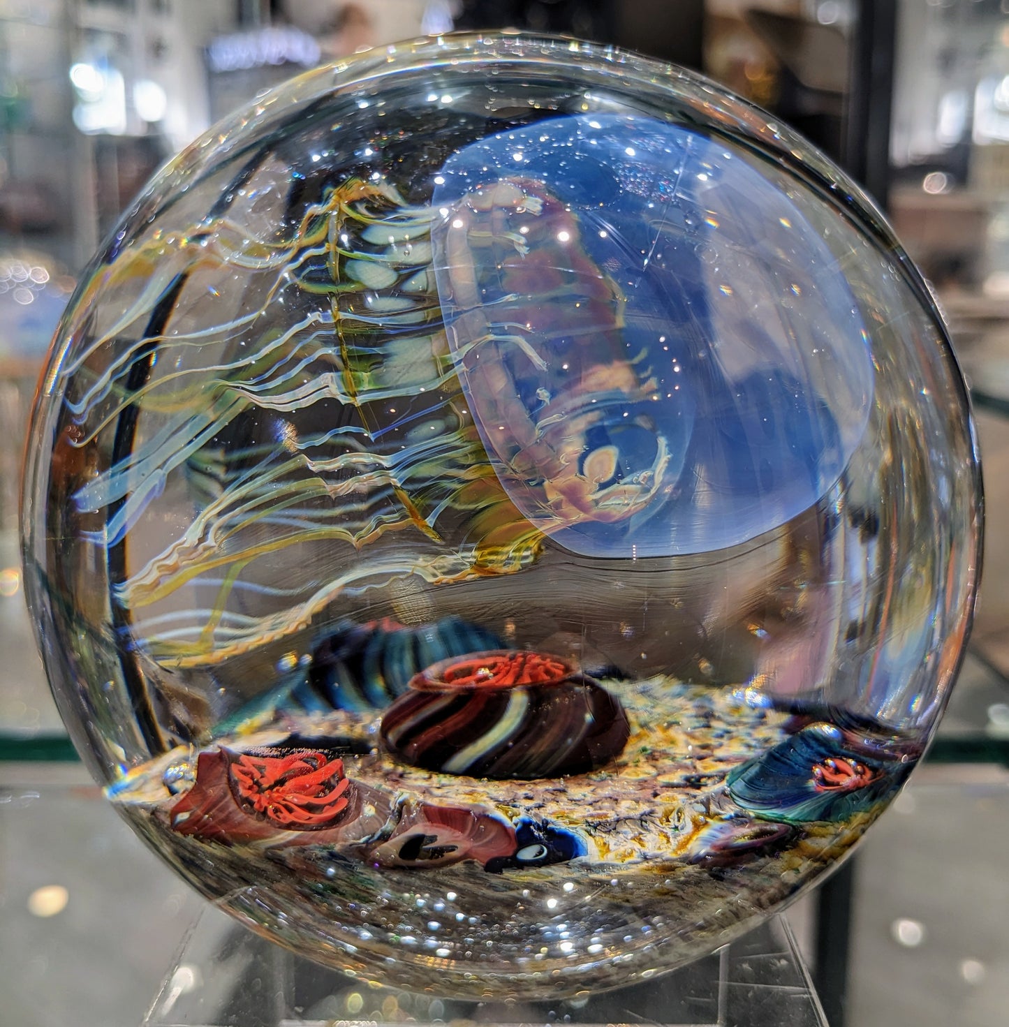 Satava blue jellyfish round shape inside view