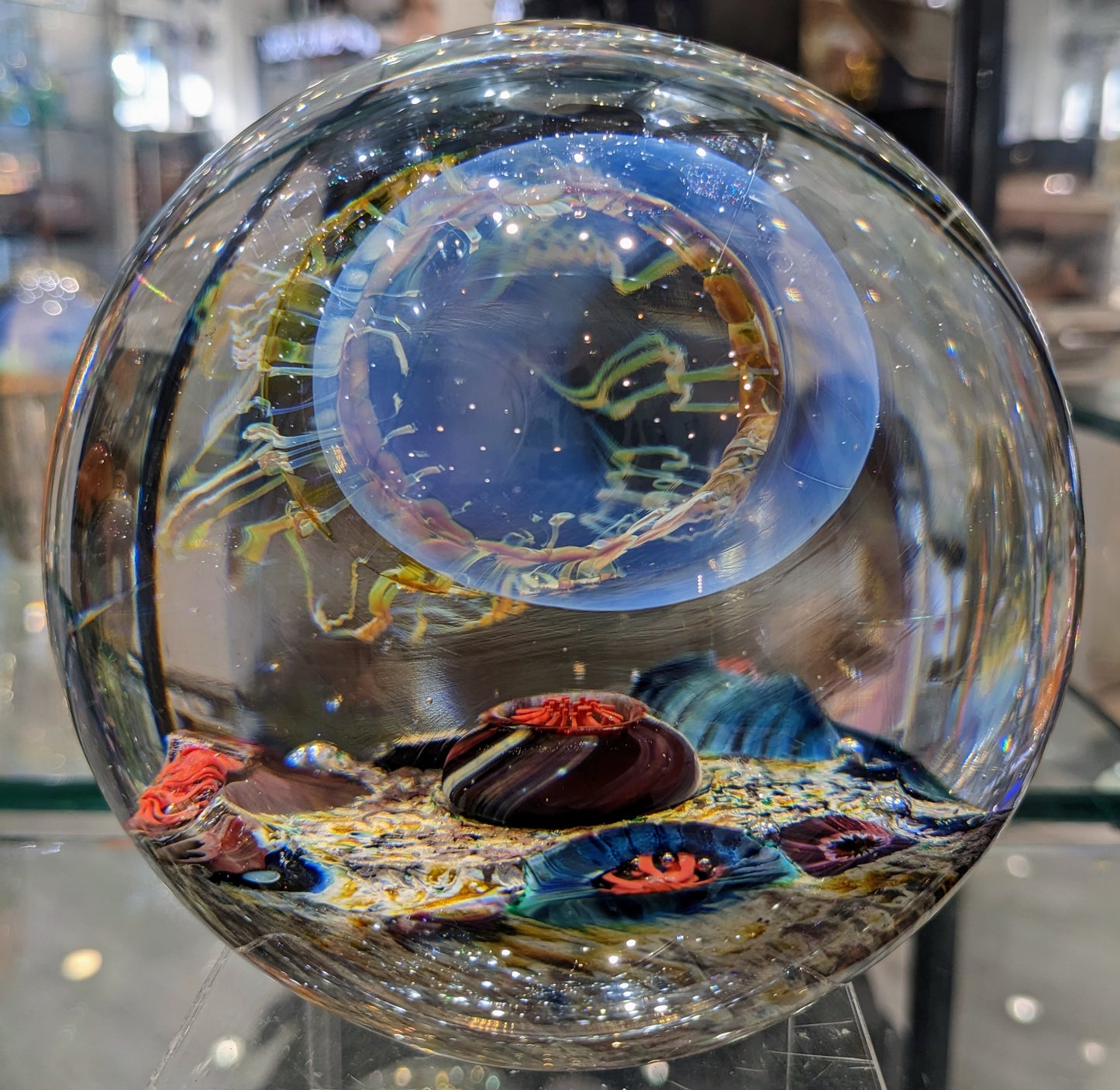 Satava blue jellyfish round shape inside view