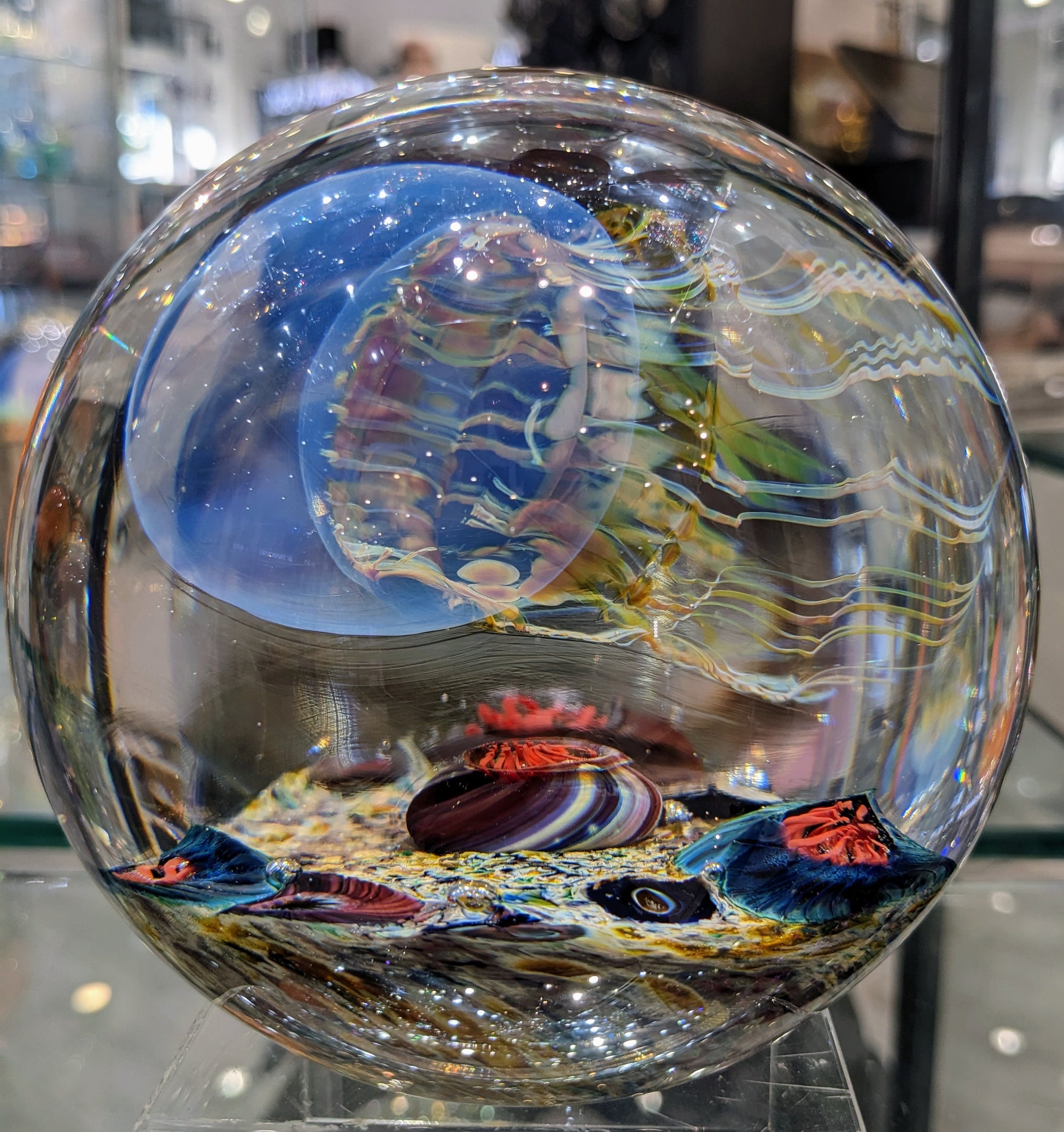 Satava blue jellyfish round shape inside view