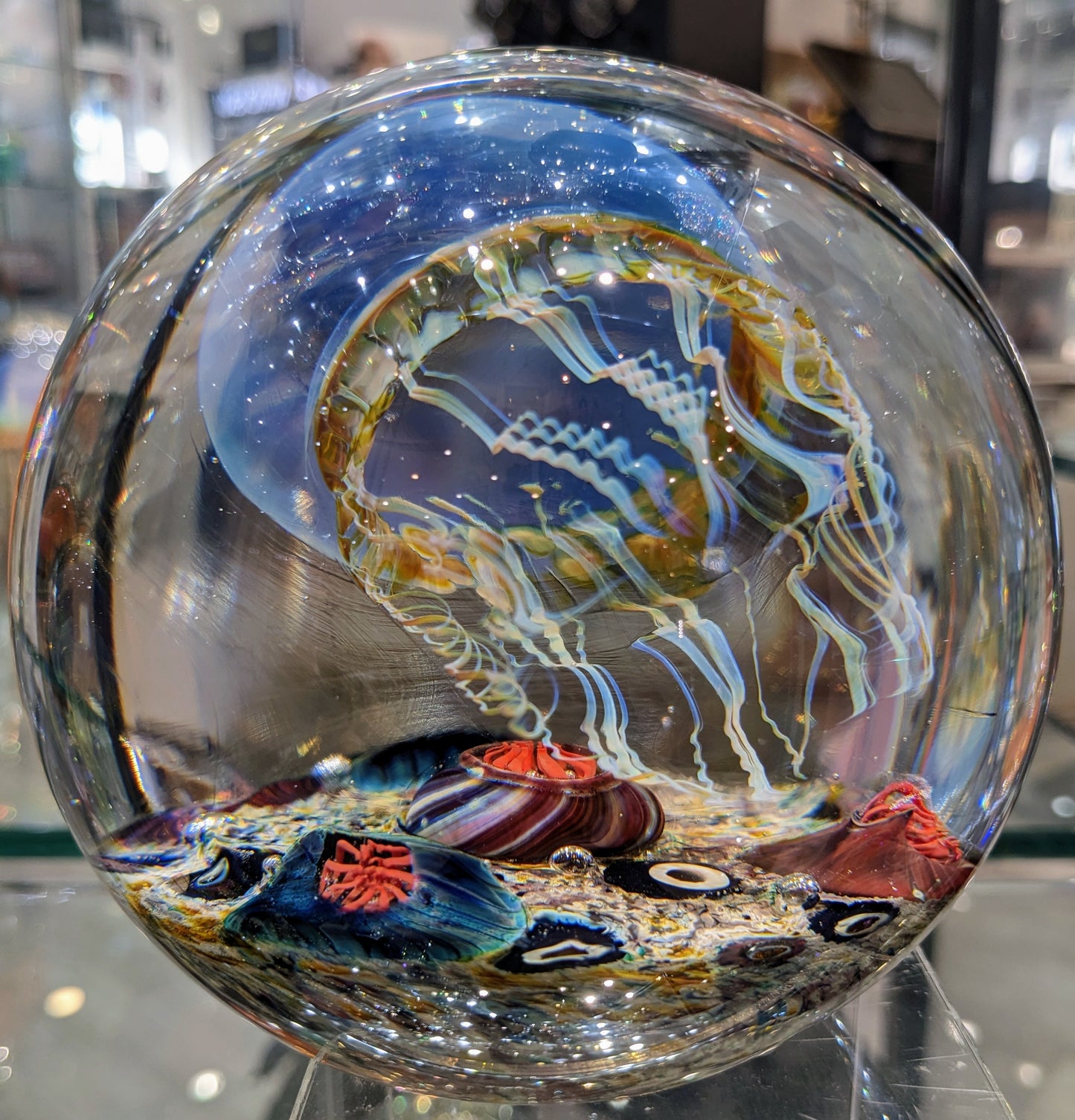 Satava blue jellyfish round shape inside view