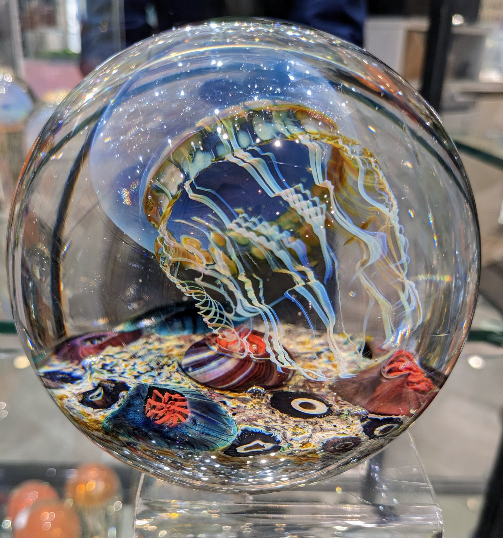 Satava blue jellyfish round shape inside view