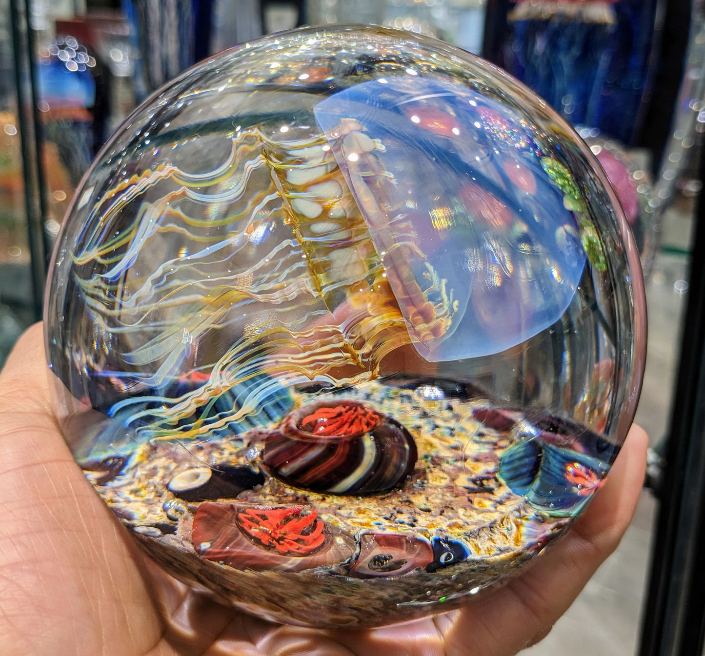 Satava blue jellyfish round shape inside view