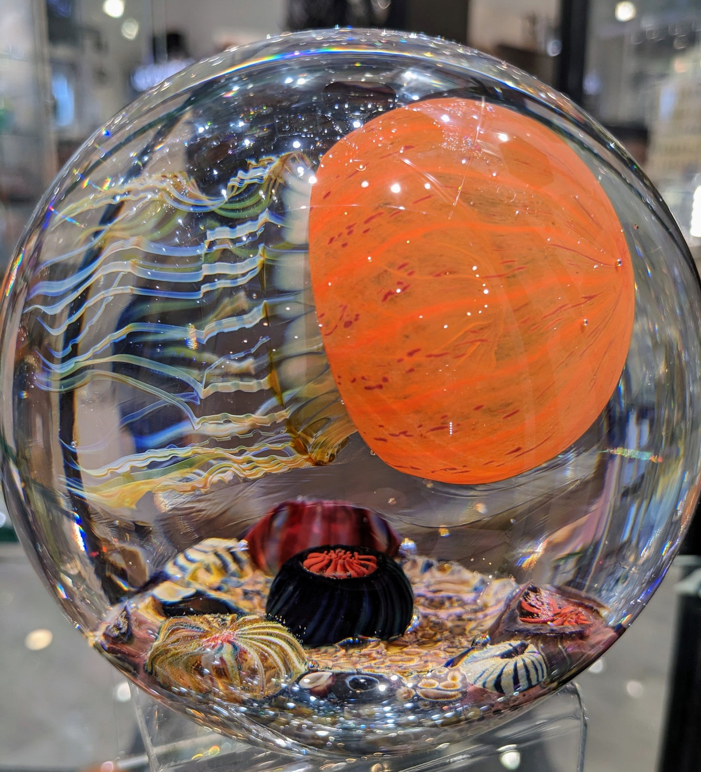 Satava 6" round orange jellyfish 