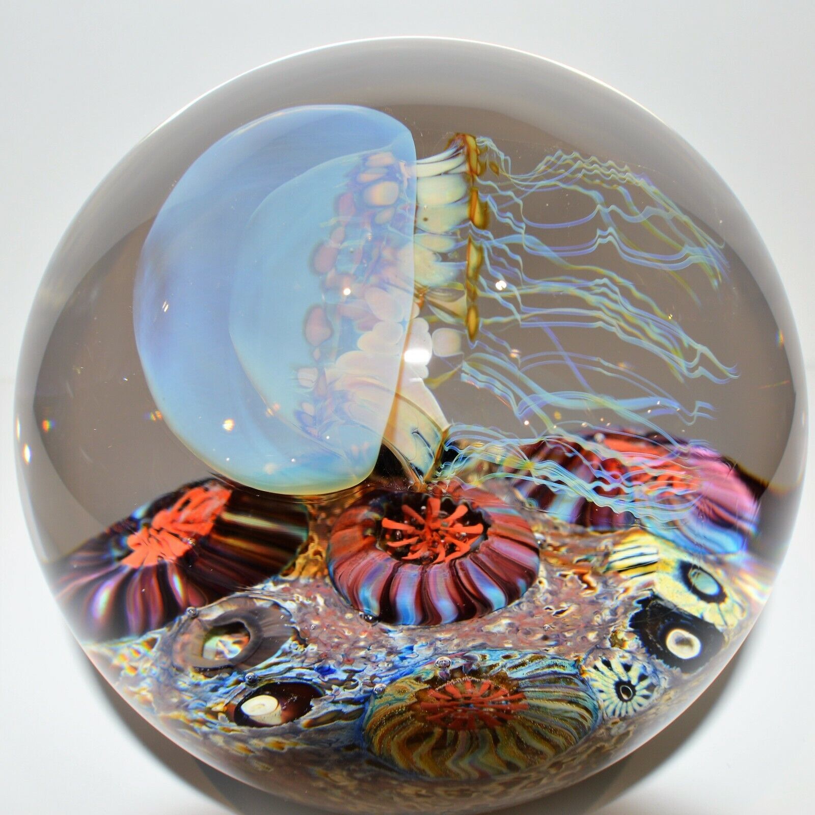 Handmade Satava Art Glass Moon blue Jellyfish Side swimmer with white background