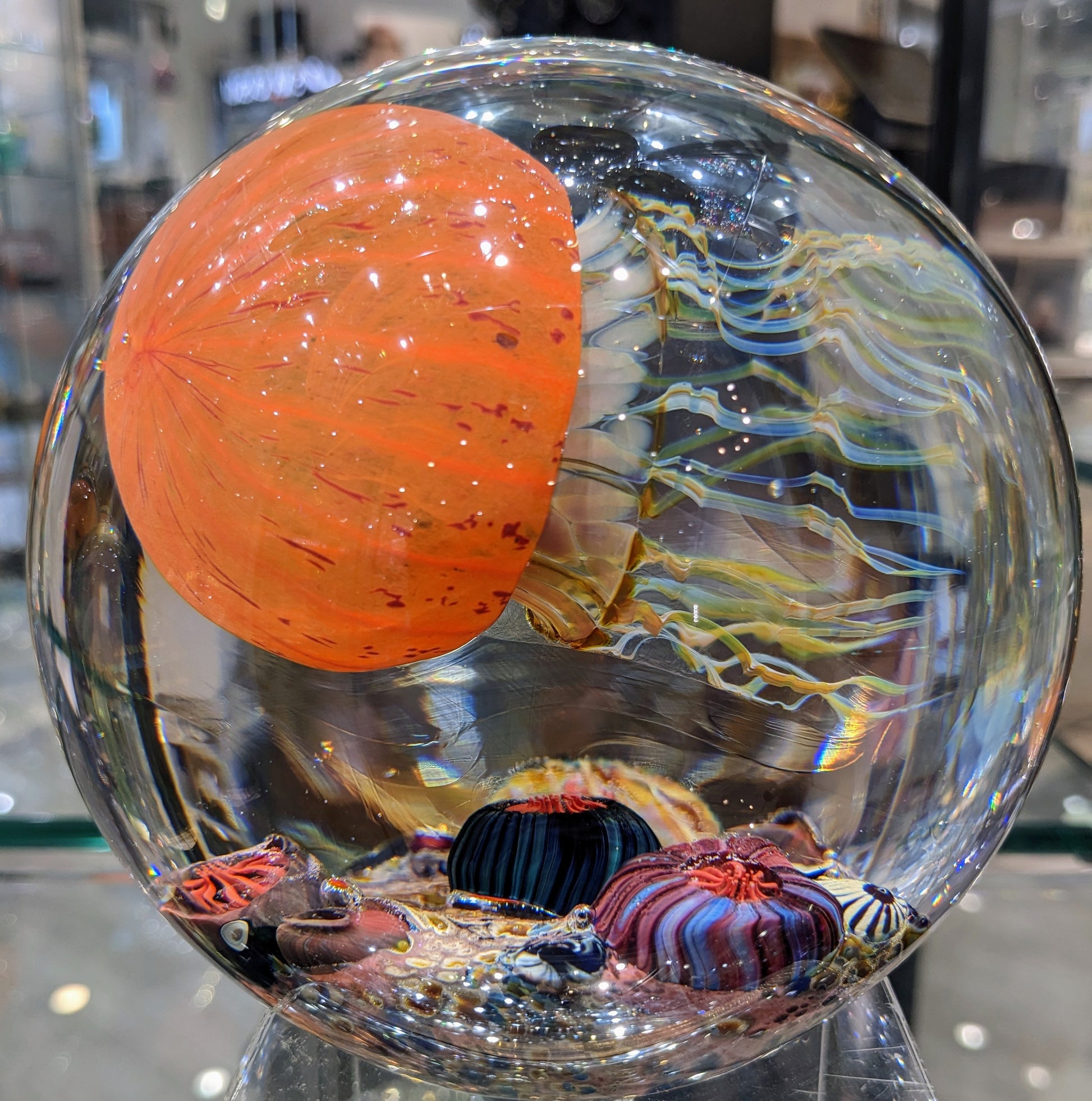 Satava glass sculpture of a Pacific Coast Jellyfish with an orange ribbed dome, brown and gold band, and colorful wispy tentacles displayed against an indoor background.