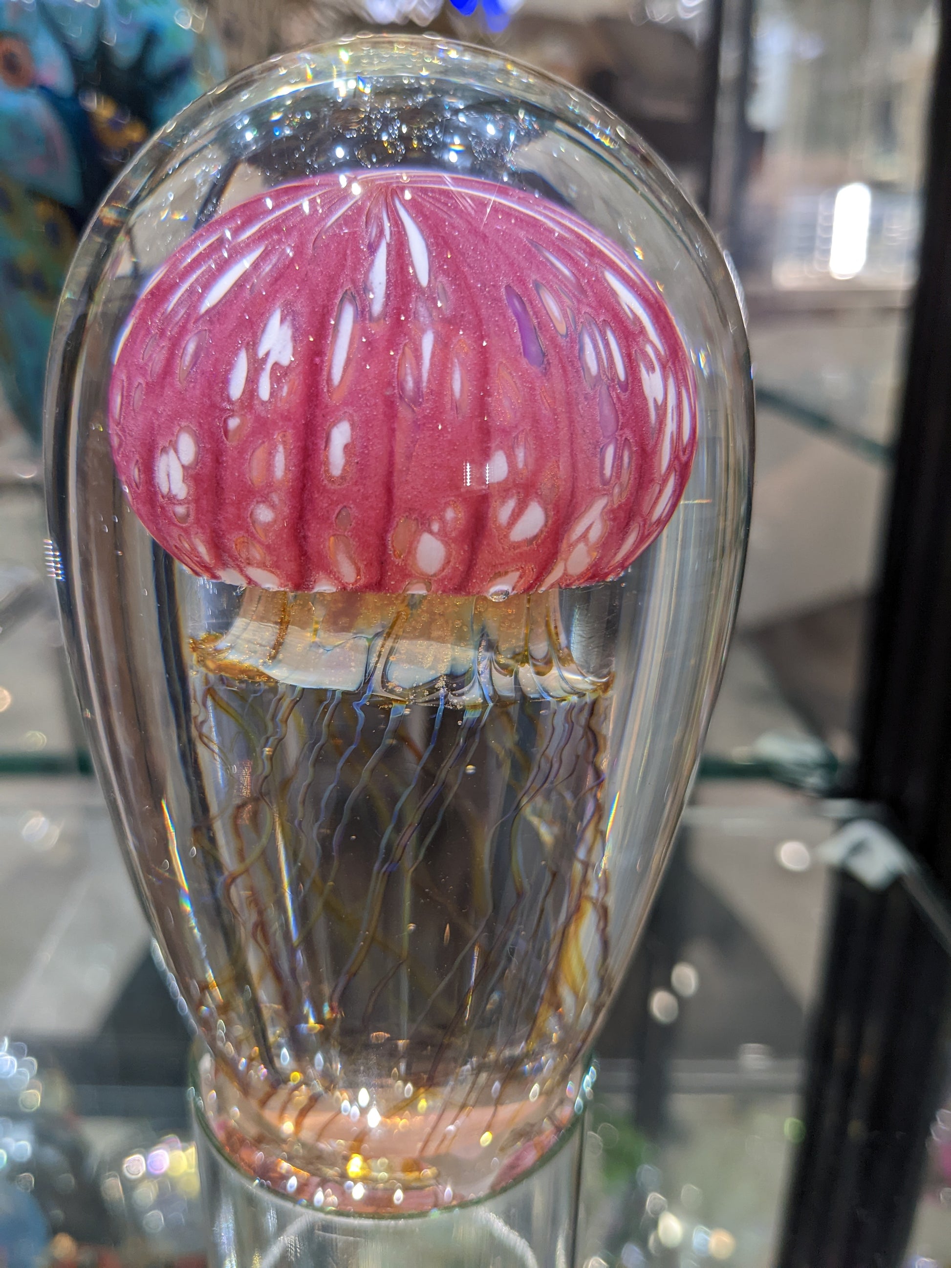 Satava handcrafted art glass jellyfish with a fuchsia ribbed dome and a brown and gold band with floating tentacles inside a clear glass base.
