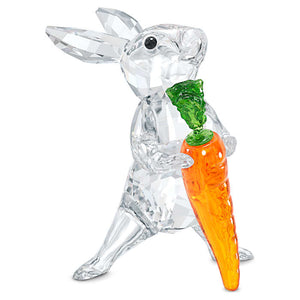 RABBIT WITH CARROT 5530687