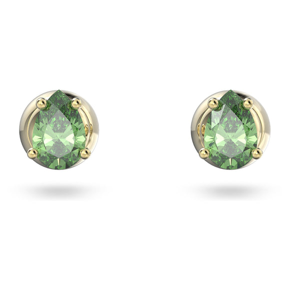 Stilla stud earrings Pear cut, Green, Gold-tone plated 5639120